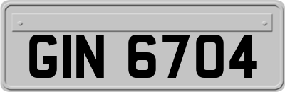 GIN6704