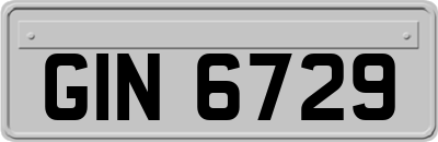 GIN6729