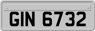 GIN6732