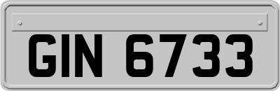 GIN6733