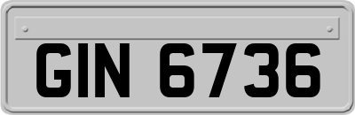 GIN6736