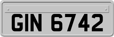 GIN6742