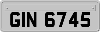 GIN6745