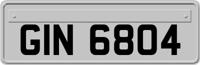 GIN6804