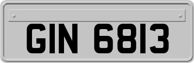 GIN6813