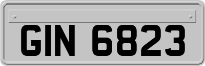 GIN6823