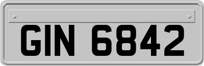 GIN6842