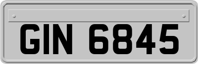 GIN6845