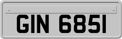 GIN6851