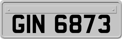 GIN6873