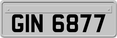 GIN6877