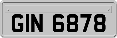 GIN6878