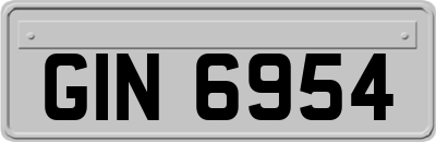 GIN6954