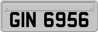 GIN6956