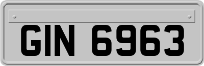 GIN6963