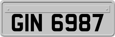 GIN6987