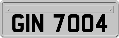 GIN7004