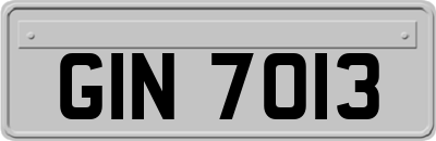 GIN7013