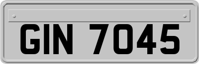 GIN7045