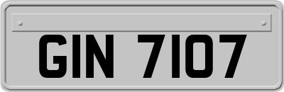 GIN7107