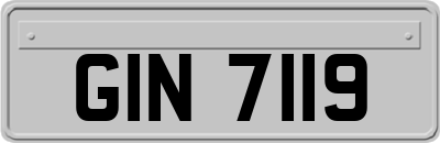 GIN7119