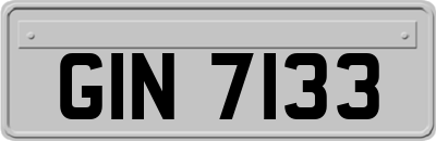 GIN7133