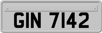GIN7142