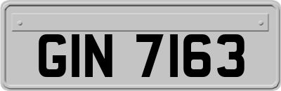 GIN7163