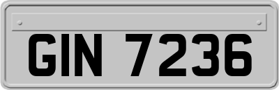 GIN7236