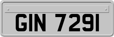GIN7291