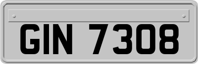 GIN7308