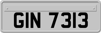 GIN7313