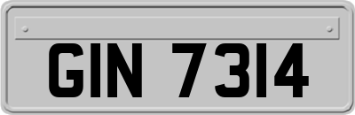 GIN7314