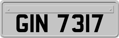 GIN7317