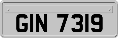 GIN7319