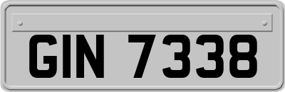 GIN7338