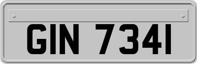 GIN7341