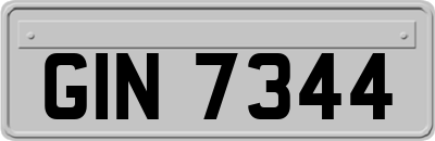GIN7344