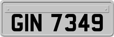 GIN7349