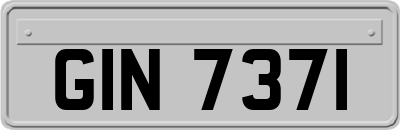GIN7371