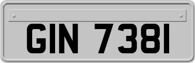 GIN7381