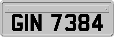 GIN7384