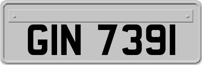 GIN7391