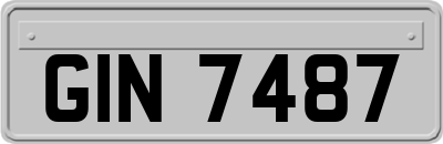GIN7487