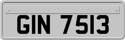 GIN7513