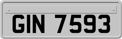 GIN7593