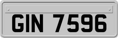 GIN7596