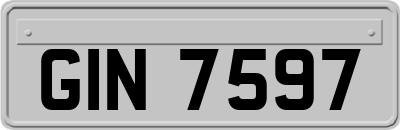 GIN7597