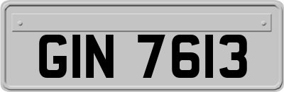 GIN7613