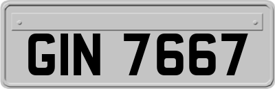 GIN7667